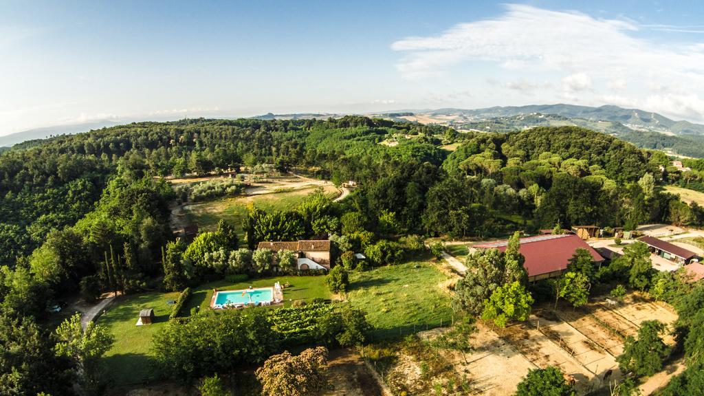 Fioralice Pension Fauglia Kamer foto