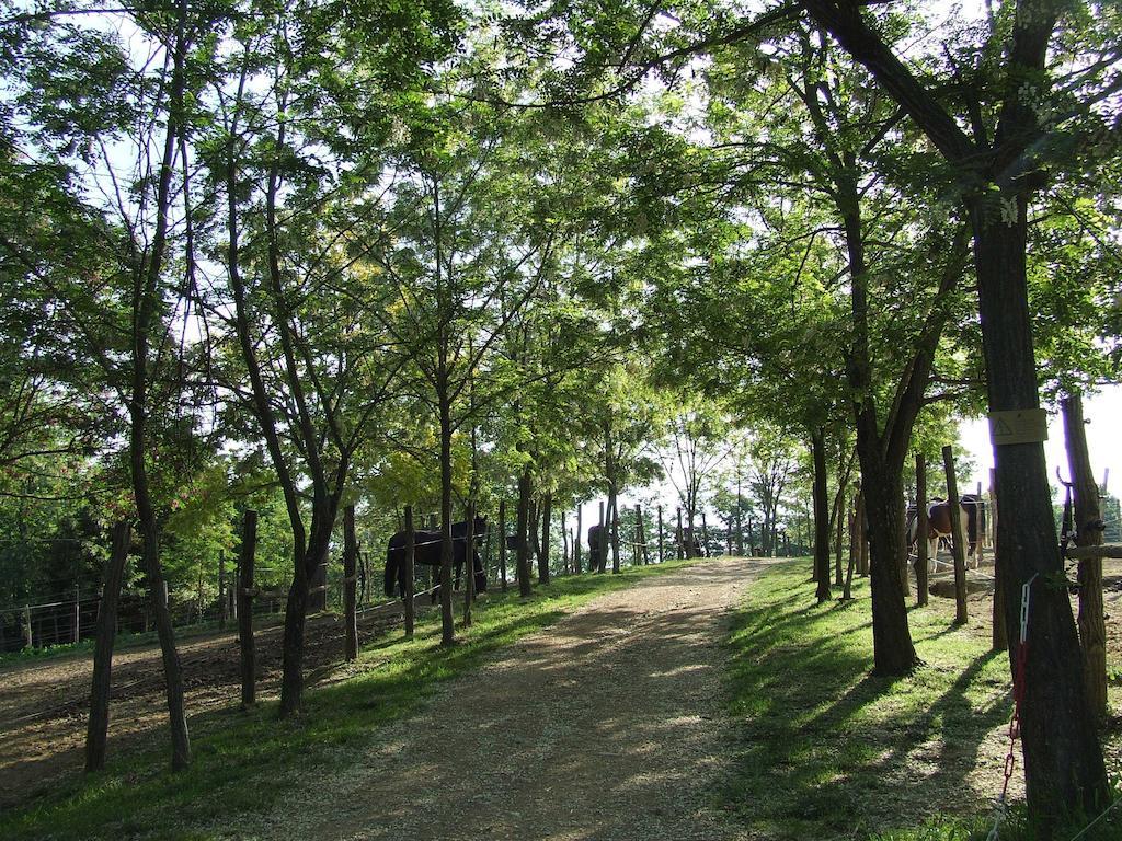 Fioralice Pension Fauglia Buitenkant foto