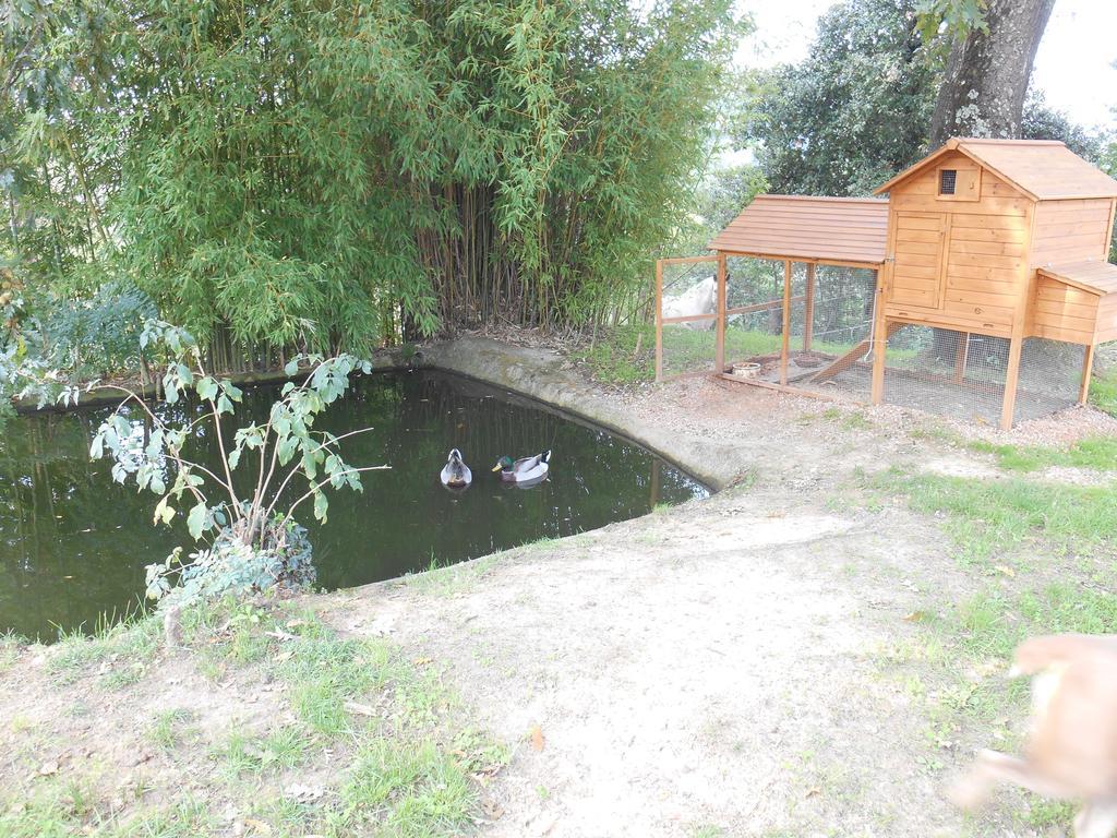 Fioralice Pension Fauglia Buitenkant foto